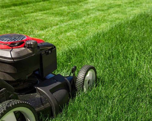 close up of lawn mower lawn care katy tx